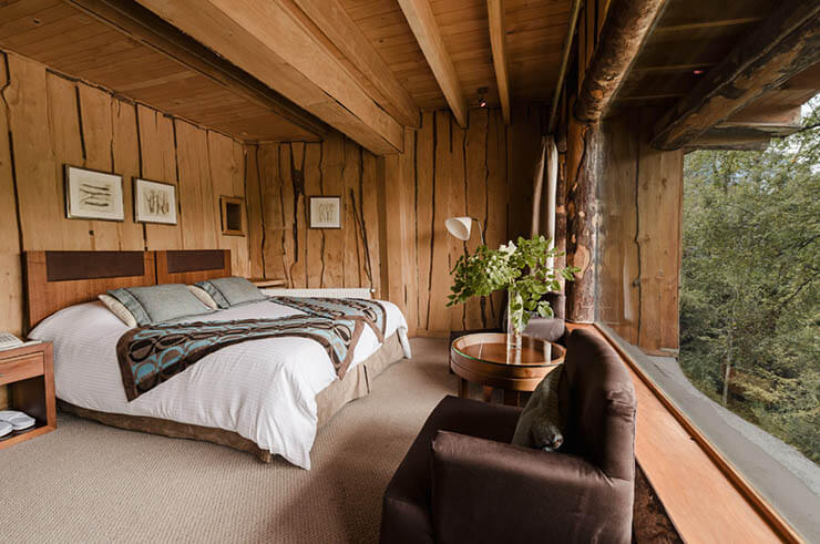 wooden style hotel room with view to forest