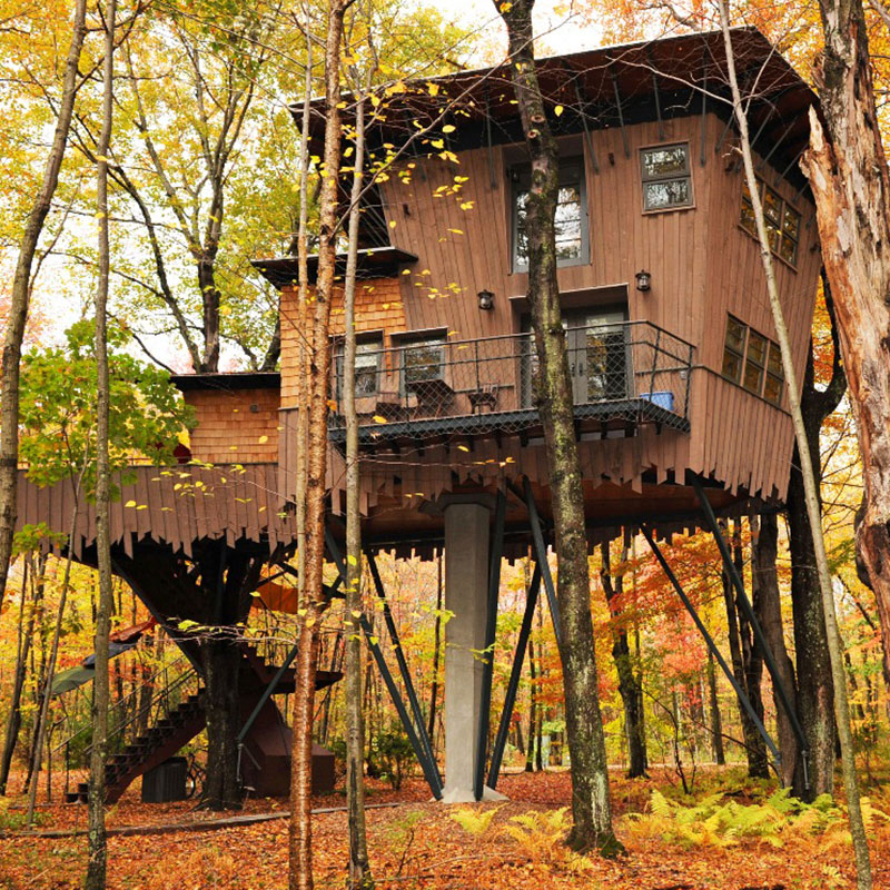 Amazing Treehouse Cottage, One of the 18-th Accommodation Options 