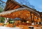 beach café mangroove hotel costa rica