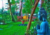 outdoor zen garden hostels in Amsterdam - Cocomama