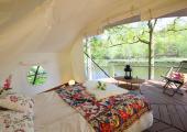 creative design tent eco glamping trees
