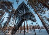 Visit this Unique TreeHotel in Harads, Sweden  