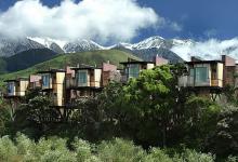 south island new zealand hotel tree houses