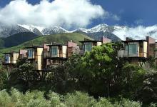 south island new zealand hotel tree houses